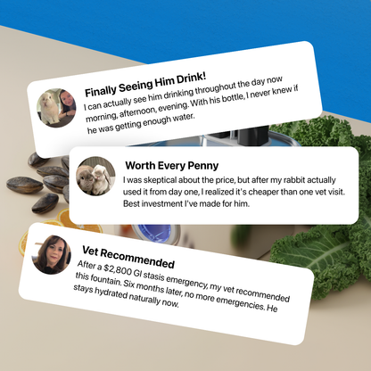 Binky Fountain - Wireless