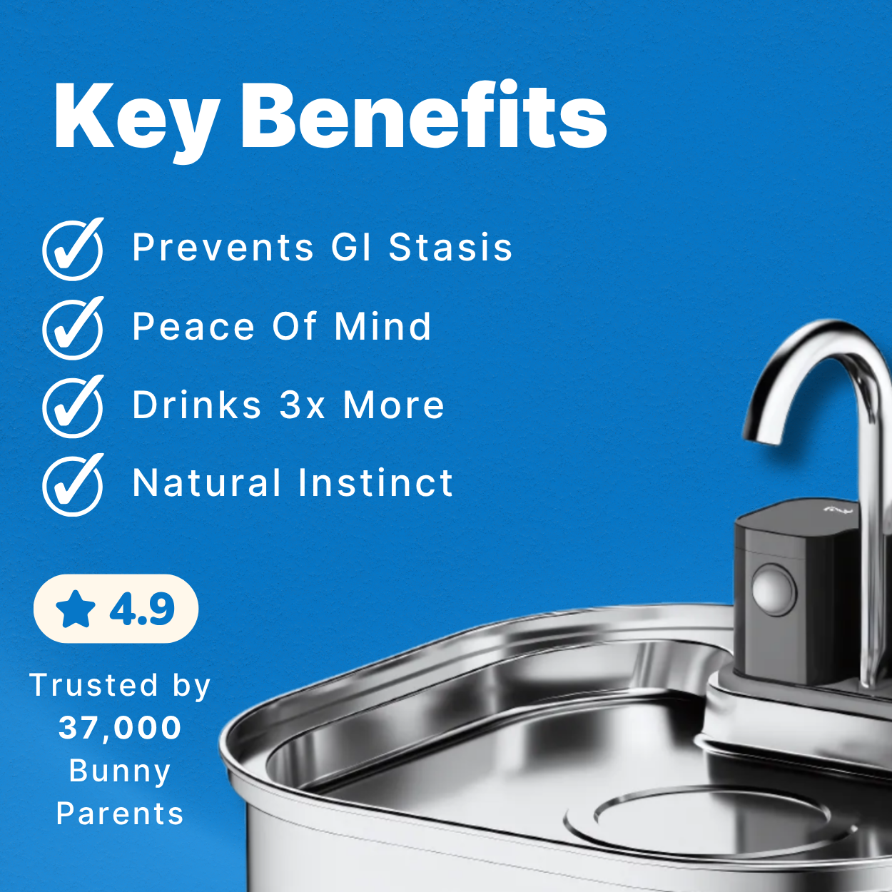 Binky Fountain - Wireless