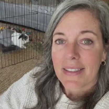 Binky Fountain - Wireless